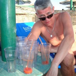 �������� �������, �����������, 66 ���