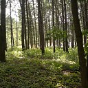 ���� ������, ������, 44 ���� - ��������� 17 ������� 2013 � ������ ���� ����������