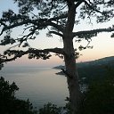 ���� �����, �����, 43 ���� - ��������� 30 ������ 2009 � ������ �����