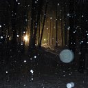 ���� ����, ������ �������� - ��������� 11 ������� 2011 � ������ ����� 2011-2012�.�