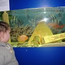 ���� �����, �������������, 25 ��� - ��������� 28 ���� 2013 � ������ �� �� ���������.�