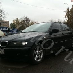 ���� ������, �������, 36 ��� - ��������� 29 ������� 2011