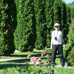 ������ ���