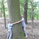 ���� �������, ����, 44 ���� - ��������� 2 ������� 2012