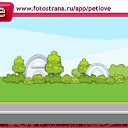 ���� �����, ���������, 45 ��� - ��������� 17 �������� 2010 � ������ �PetLove�