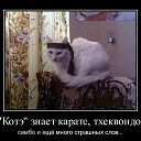 ���� �����, ������, 25 ��� - ��������� 31 ������ 2013