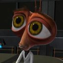 ���� Gnom, ���������, 39 ��� - ��������� 17 ����� 2010