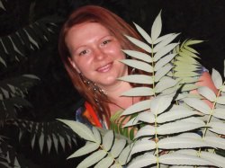 �������, ����������, 38 ���