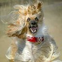 ���� ���� �������., ���������, 42 ���� - ��������� 20 ������ 2010 � ������ ���������� :)))�