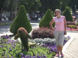 �������, �������, 56 ���