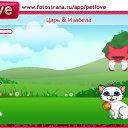  , , 50  -  22  2010   PetLove