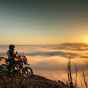 ���� �������, �����������, 29 ��� - ��������� 21 ������ 2011 � ������ ��������