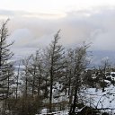 ���� ������, �������, 55 ��� - ��������� 25 ������ 2011 � ������ �������-�������. 2011�