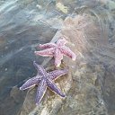 ���� (((������)), ��������������, 51 ��� - ��������� 30 ������� 2011