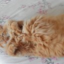  !!!!!!!!!!, , 60  -  3  2013     