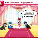    ,  -  27  2010   PetLove