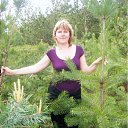 ���� �����, �����-���������, 54 ���� - ��������� 15 ����� 2012 � ������ ���� ����������