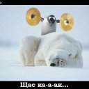 ���� ���� �������., ���������, 42 ���� - ��������� 20 ������ 2010 � ������ ���������� :)))�