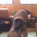 ���� ����, ������, 60 ��� - ��������� 10 �������� 2011 � ������ ���� ����������