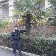 , 37 , 