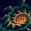 ���� ������, ������ - ��������� 10 ������� 2013 � ������ ��������� ������