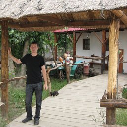 �����, �������, 46 ���