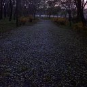 ���� Dark Snow, ������, 47 ��� - ��������� 4 ������� 2012 � ������ �����ܻ