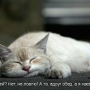 ���� Zeben, ������, 46 ��� - ��������� 10 ���� 2011 � ������ ��������� =)�