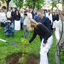  D.s., , 38  -  7  2013    2004, ,  