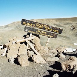 ���� ����, ������, 46 ��� - ��������� 31 ��� 2010