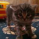 ���� �������, ��������, 42 ���� - ��������� 27 ��� 2013 � ������ ������ ��������