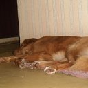 ���� Valya, ������, 36 ��� - ��������� 23 ������� 2010 � ������ ����� ������ ��� ����� �������� ����������