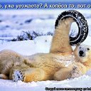   Mirror_return To River Of Flowers,  -  5  2011    