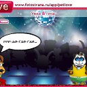 ���� ������, ��������� - ��������� 2 ������ 2010 � ������ �PetLove�