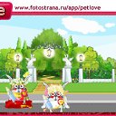 ���� Wiatcheslaw, ������, 51 ��� - ��������� 6 ������ 2010 � ������ �PetLove�