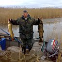 ���� �������� ������, �����-���������, 66 ��� - ��������� 30 ������� 2011