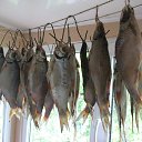 ���� ������, ������, 52 ���� - ��������� 12 ���� 2013 � ������ ���� ����������