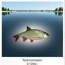 ���� � �������, �������, 52 ���� - ��������� 5 ������� 2011 � ������ ���� ����������