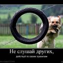 ���� �����, ������, 45 ��� - ��������� 23 ������ 2011 � ������ ���������