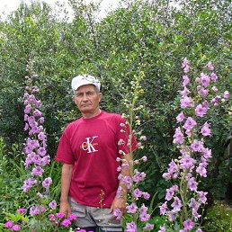 ���� ����������, ������������ - ��������� 8 ������ 2012