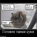 ���� �������, ��������, 50 ��� - ��������� 14 ������ 2012 � ������ ���� ����������