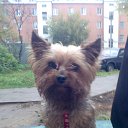 ���� ����, ������� - ��������� 17 ������ 2013 � ������ ���� ����������