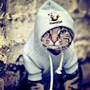 ���� ����, ���������, 29 ��� - ��������� 25 ���� 2012