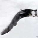 ���� [�����], �����������, 35 ��� - ��������� 27 ���� 2013 � ������ ���� ����������