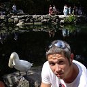 ���� �������, ����������, 42 ���� - ��������� 11 ����� 2012 � ������ ���� ����������