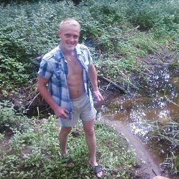 Vitek, ���������, 38 ���