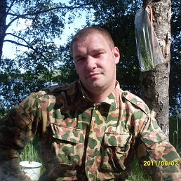 ���, �������, 41 ���