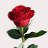 ���� Jovan, ������, 61 ��� - ��������� 14 ������� 2012