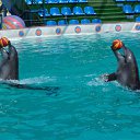 ���� �������, ������������, 43 ���� - ��������� 28 ������� 2012 � ������ ���� ����������