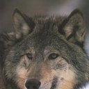  Wayfarer,  -  24  2012   